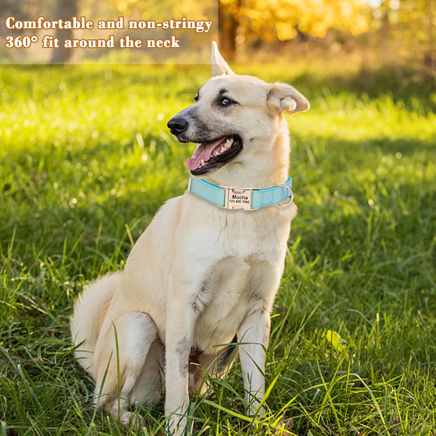 Collar de perro personalizado con nombres y número de teléfono grabado, personalizado para mascotas pequeñas, medianas y grandes, etiquetas para