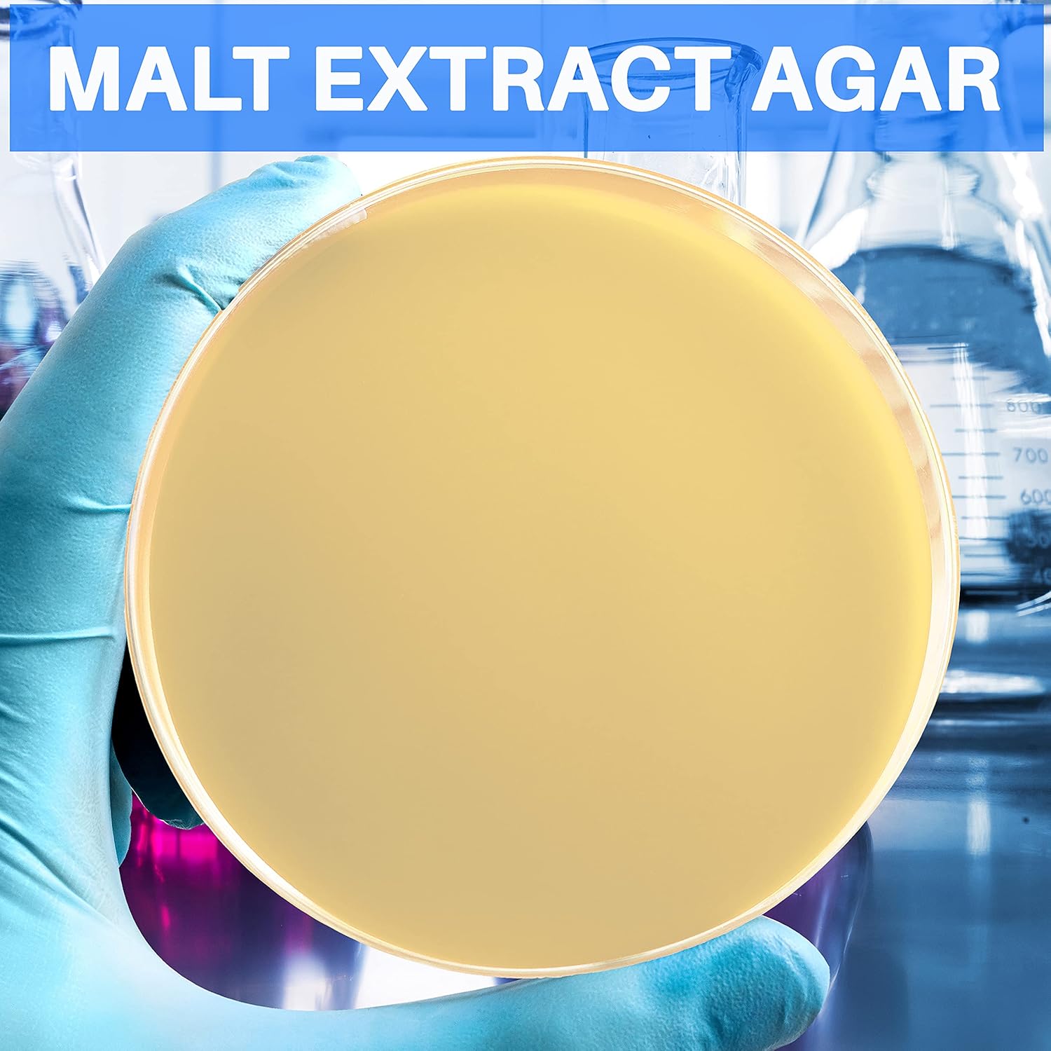 Placas de agar con extracto de malta  Evviva Sciences  Ideal para hongos, mohos, hongos  10 placas de Petri MEA prevertidas  También ideal para