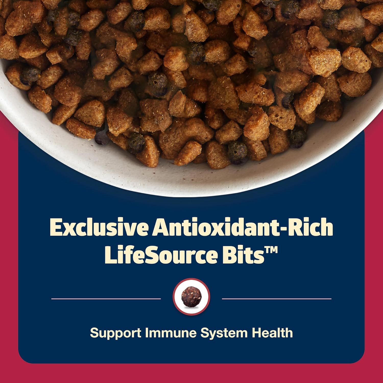 Blue Buffalo Freedom – Receta sin granos para perro, receta de carne de res, 4 libras