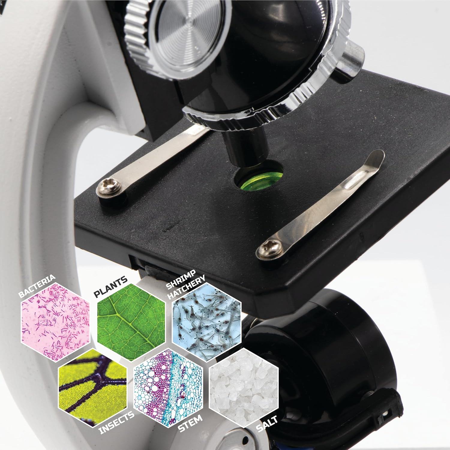 Discovery #MINDBLOWN – Juego de microscopio de 48 piezas con marco de metal duradero, aumento de 100X a 1200X, juego completo con tubos de ensayo,