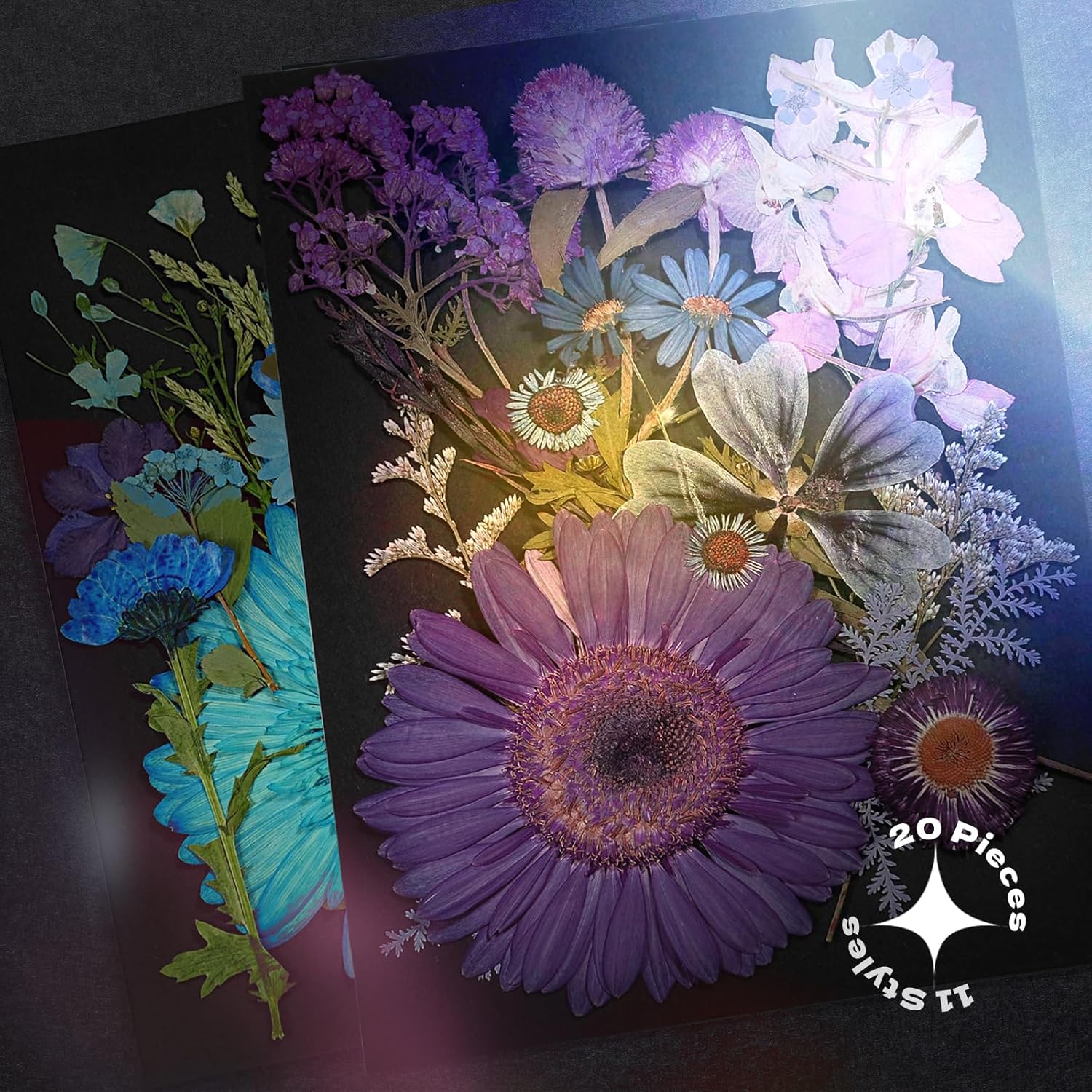 CONVELIFE Flores secas, 40 piezas de flores secas prensadas naturales y hojas, flores prensadas con pinzas para álbumes de recortes, manualidades,