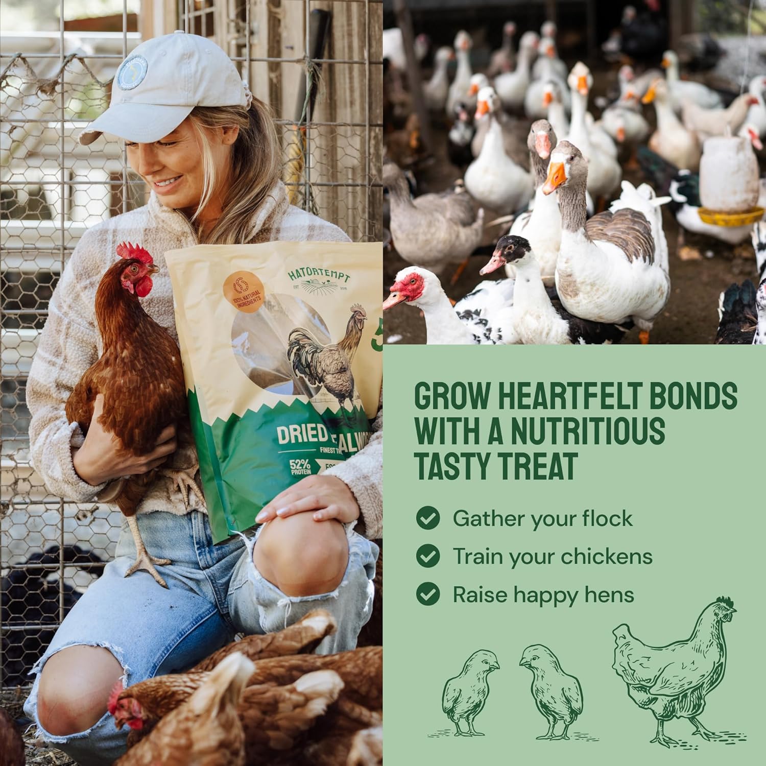 Gusanos de harina secos de 2 libras para aves silvestres y pollos, alimento orgánico prémium sin OMG – Gusanos nutritivos de comida secos con alto