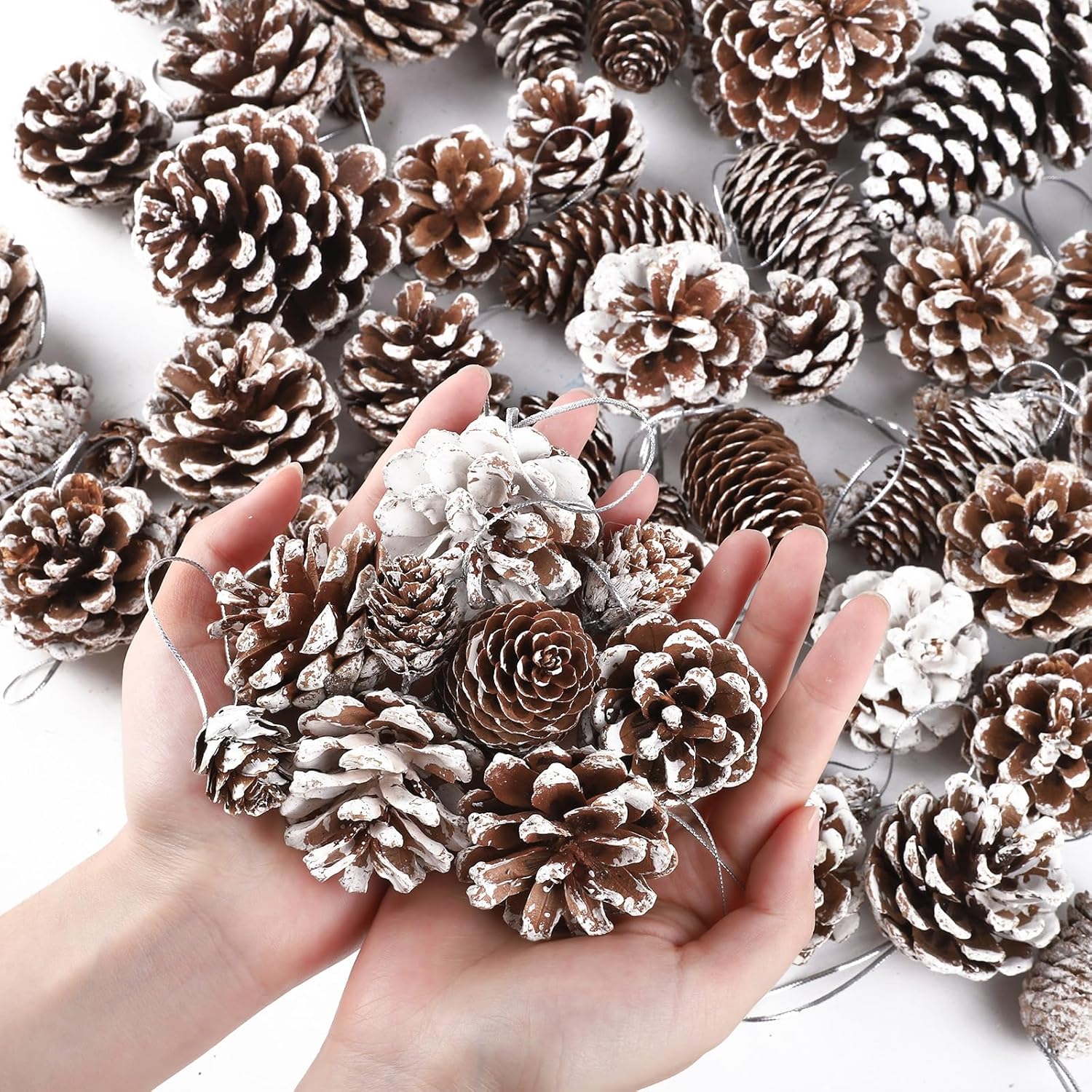 Fovths 66 piezas de adornos de piñas de Navidad blancas como la nieve con cuerda, conos de pino rústicos naturales a granel, varios tamaños,