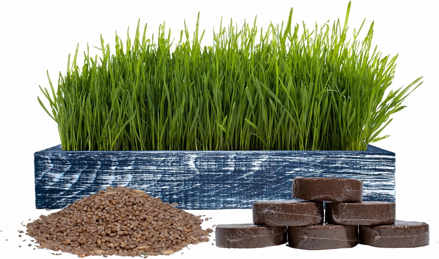 Kit completo de pasto de trigo orgánico  Hierba para gatos de interior con maceta de madera de cedro americano (17 x 6 x 3), semillas de pasto de
