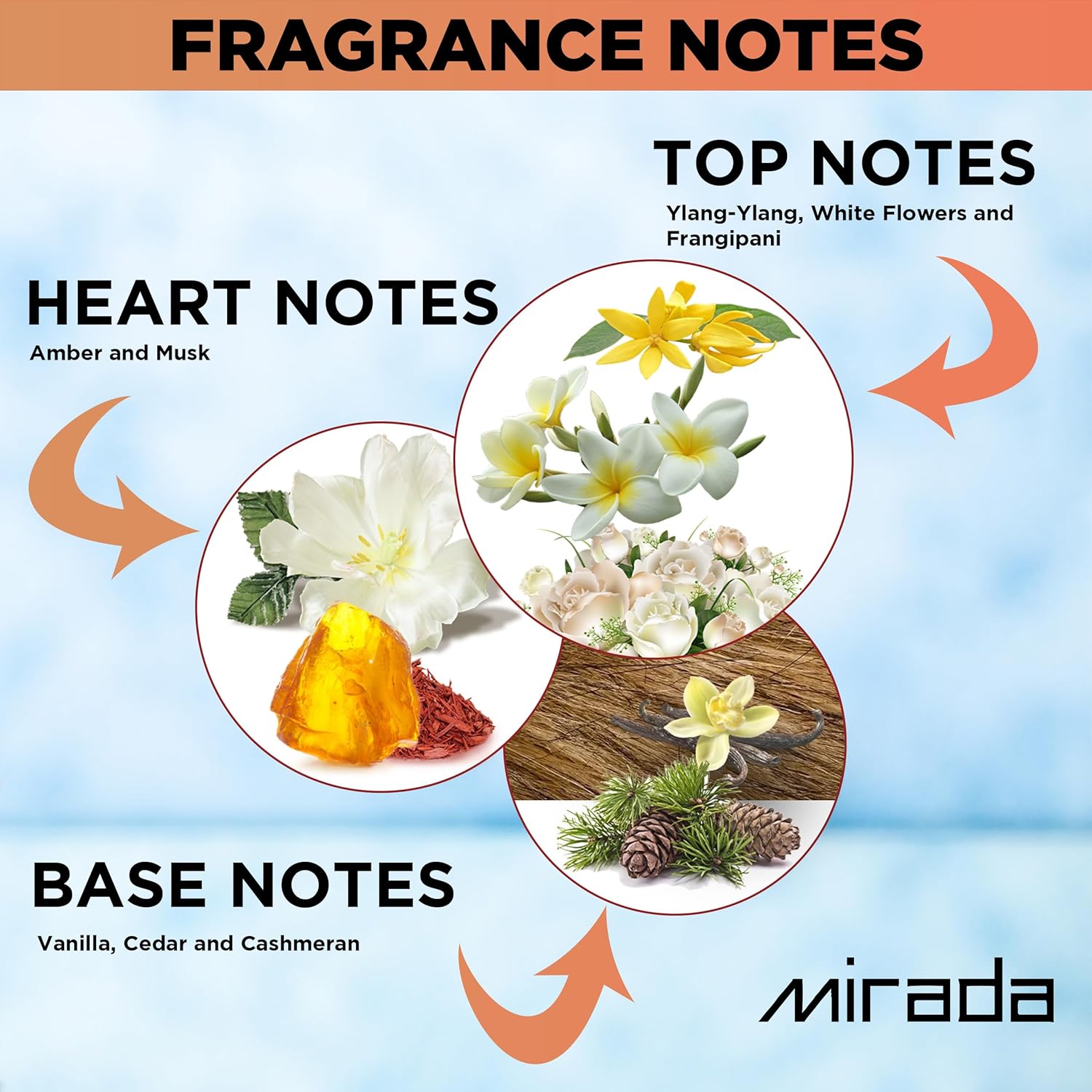 MIRADA Verato Amber, Eau de Parfum para mujer (EDP) 3.4 FL. Oz (3.4 fl oz), Perfume de mujer con notas de ylang-ylang, flores blancas, frangipani,