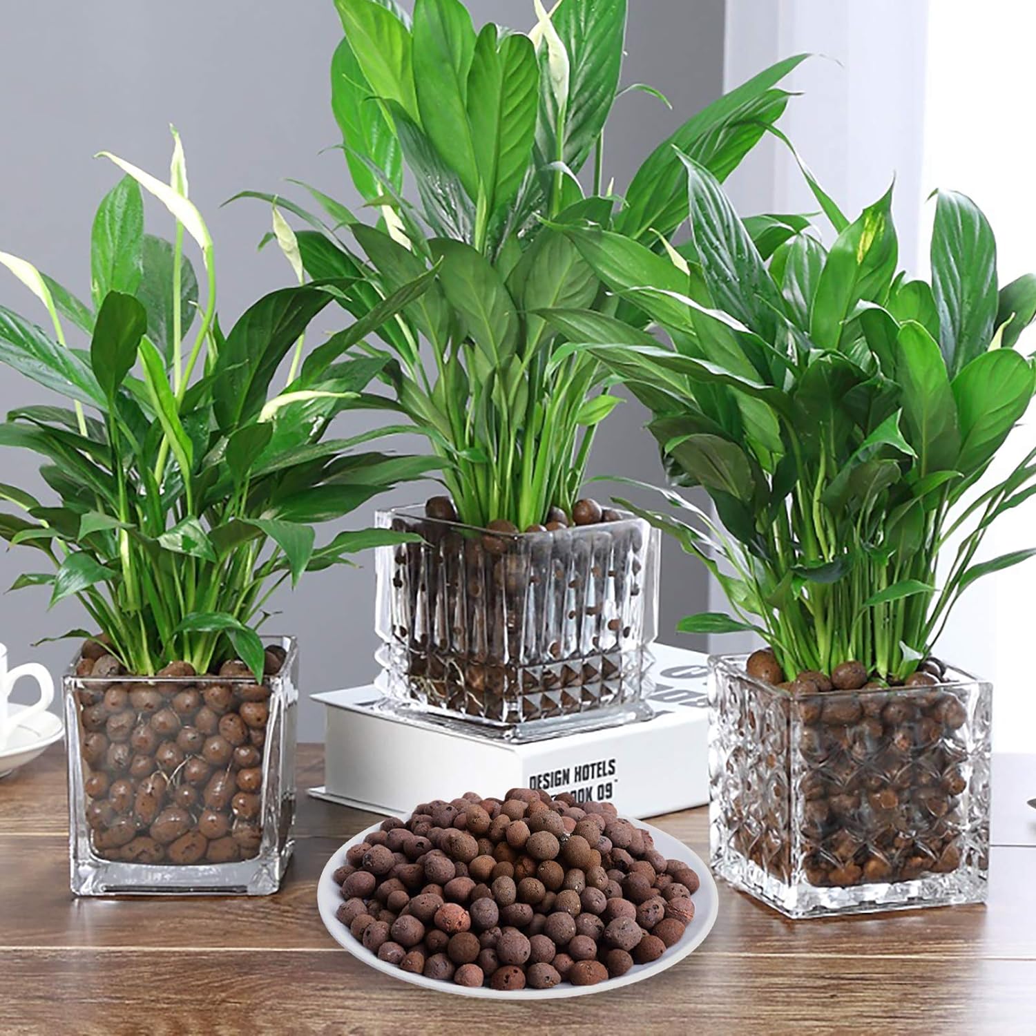 Malifea Suministros hidropónicos de arcilla expandida Leca de 10 libras para plantas de jardín de interior