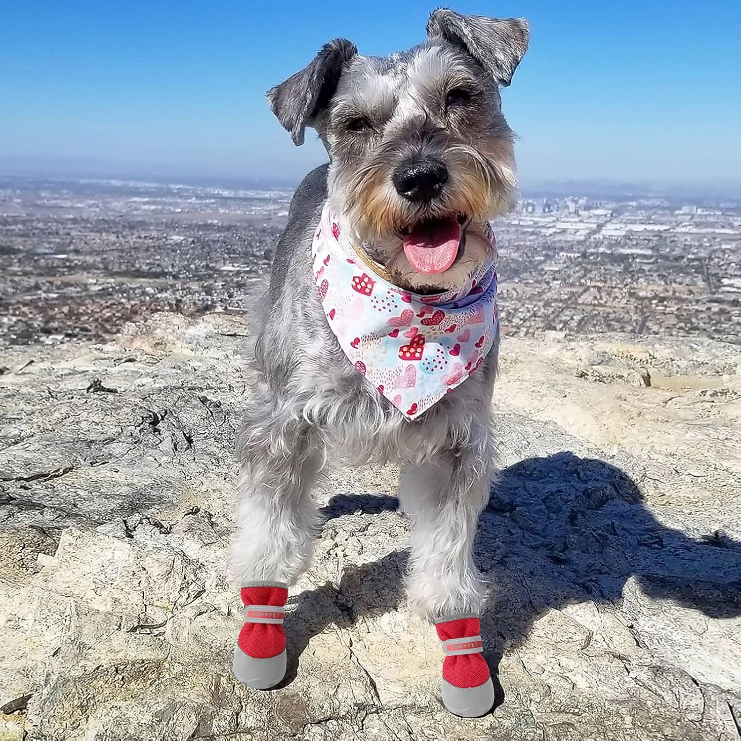 QUMY 2 botas para perros pequeños para pavimento caliente, zapatos de verano para cachorros con tira reflectante, suaves y cómodas, suela de goma