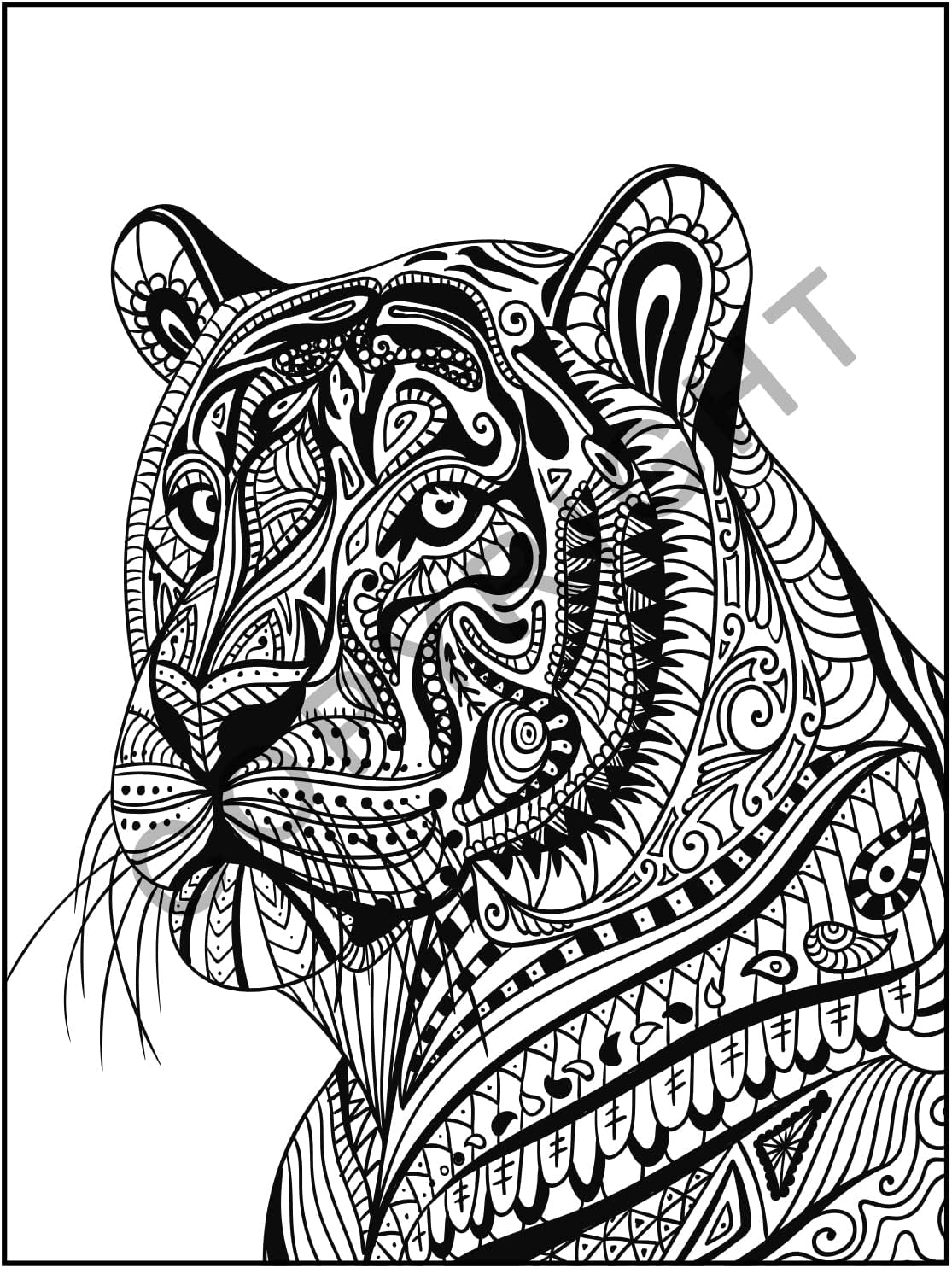 ZOCO Libros para colorear para adultos (paquete de 10)  Animales  Libros para colorear relajantes para adultos, adolescentes y mujeres  Diseños