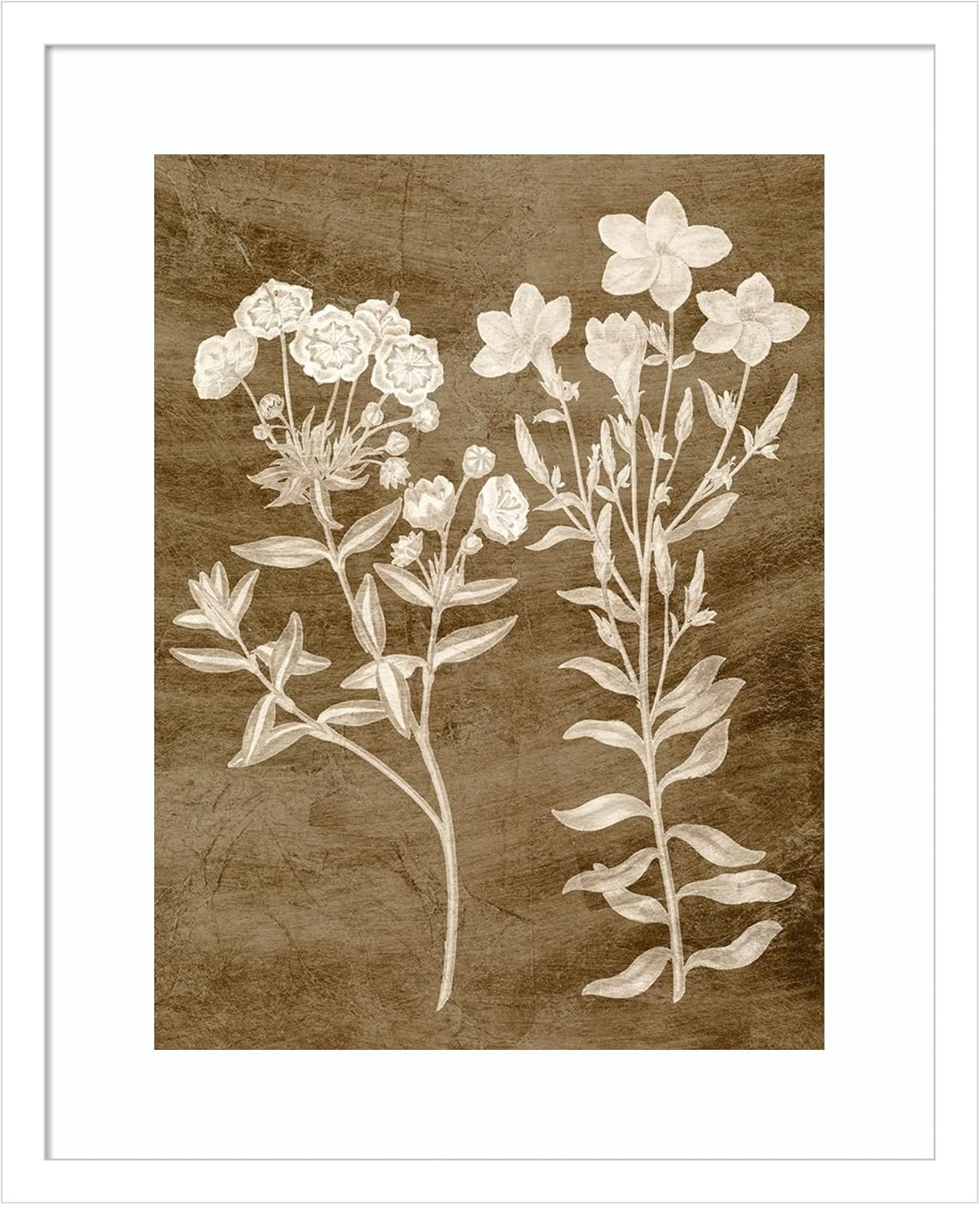 Amanti Art Framed Wall Art Print (17×21) Botanical in Taupe I by Vision Studio Framed Poster for Wall Decor, Living Room, Bedroom, Bathroom,