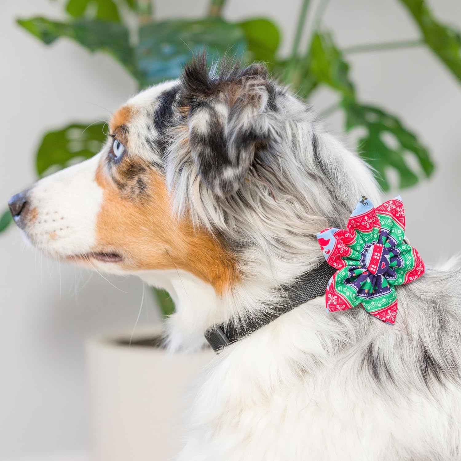 Huxley & Kent Molinete para mascotas  Suéter feo (pequeño)  Accesorio de collar de velcro de Navidad para perrosgatos  Accesorio de collar de lazo