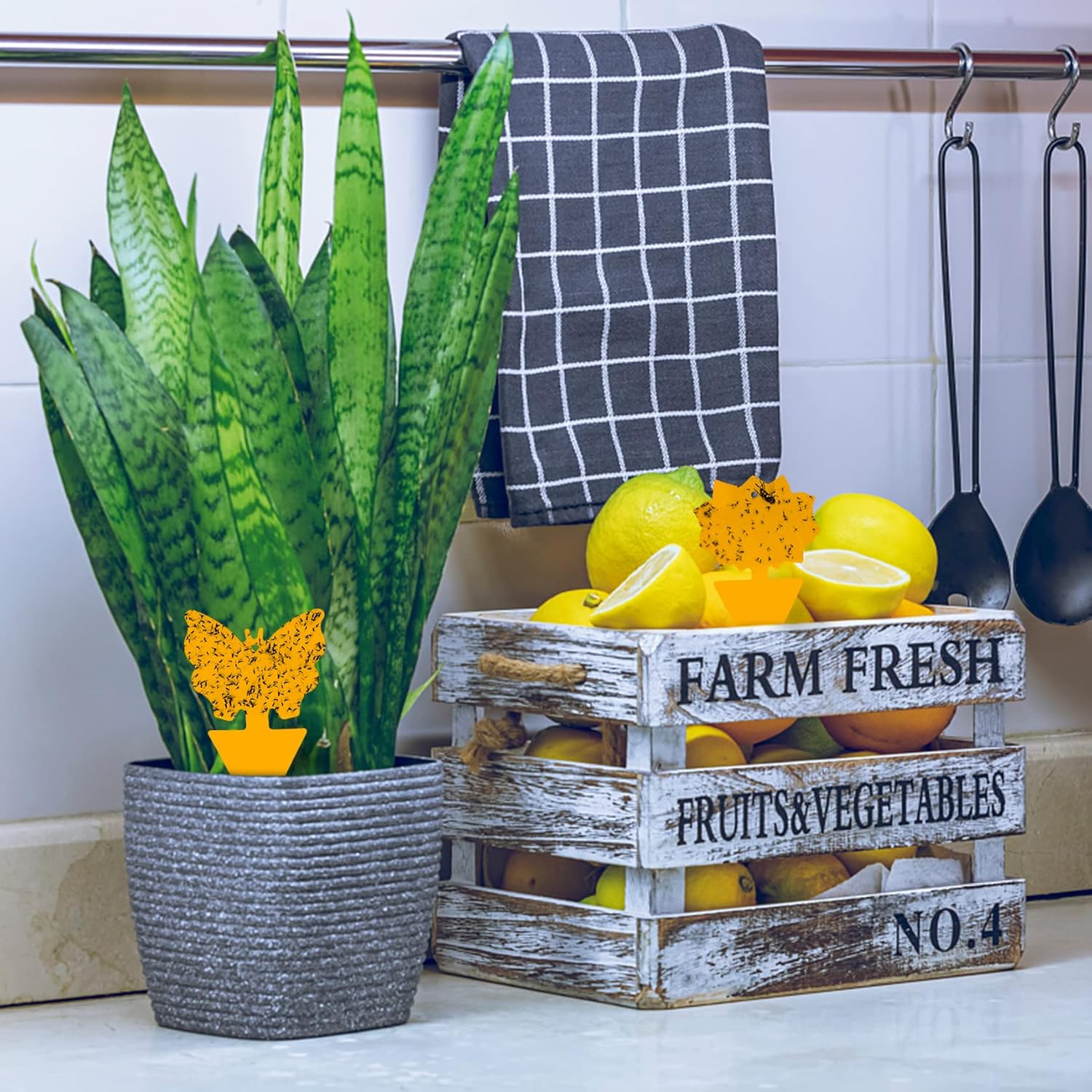 12trampas adhesivas de interiores para moscas de la fruta y mosquitos, trampas para mosquitos del hongo e insectos, para plantas domésticas