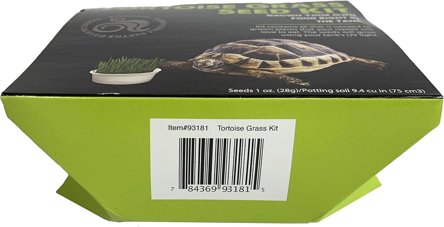 Cultiva tu propio kit de semillas de hierba de tortuga  Crece todo el año  Adición fresca para la dieta de tortugas