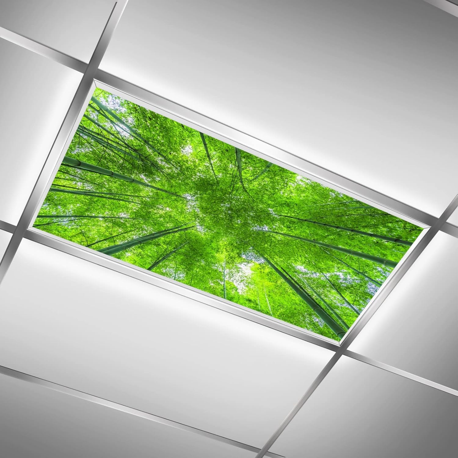 Cubiertas de luz fluorescente, filtros de luz de bosque de bambú verde para aulas y oficina, eliminan el deslumbramiento severo que causa fatiga
