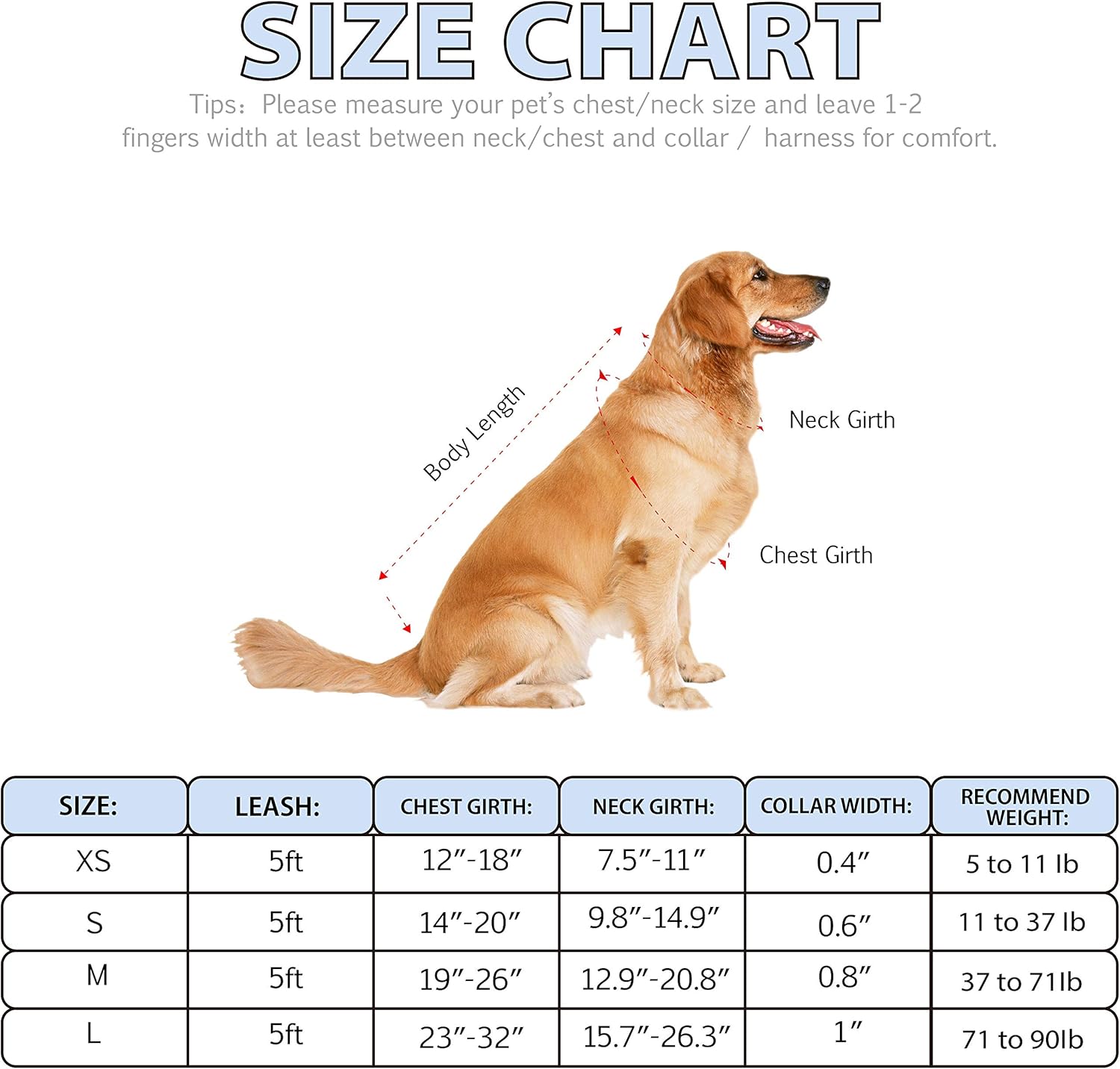 QQPETS Arnés para perro con correa  sin tirones ajustable para mascotas, clip trasero halter, collar básico, resistente, correa antitorsión de 5