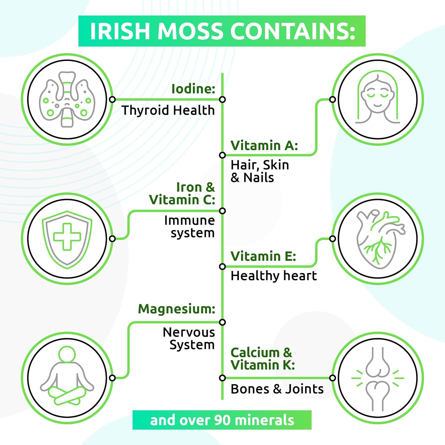 TrueSeaMoss Wildcrafted – Gel de musgo marino irlandés  Nutritiva masa marina cruda rica en minerales, proteínas y vitaminas  Musgo marino
