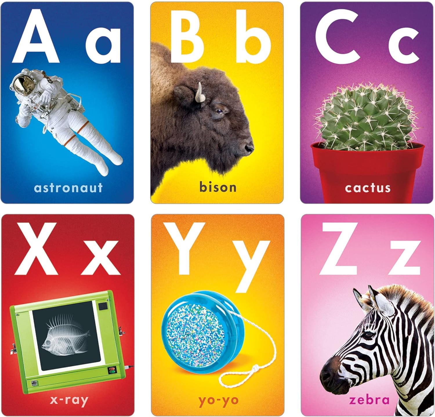 ABC Photo Fun Learning Set, by TREND Enterprises, Juego de aprendizaje de borrado en seco, edades 4-8