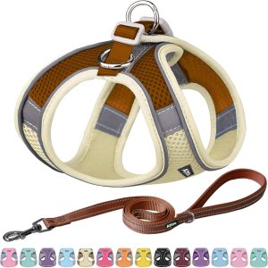 AIITLE Easy Walk – Juego de arnés y correa para perro, suministro para mascotas, sin tirones, arnés ajustable para perro con chaleco acolchado para AIITLE Easy Walk – Juego de arnés y correa para perro, suministro para mascotas, sin tirones, arnés ajustable para perro con chaleco acolchado para