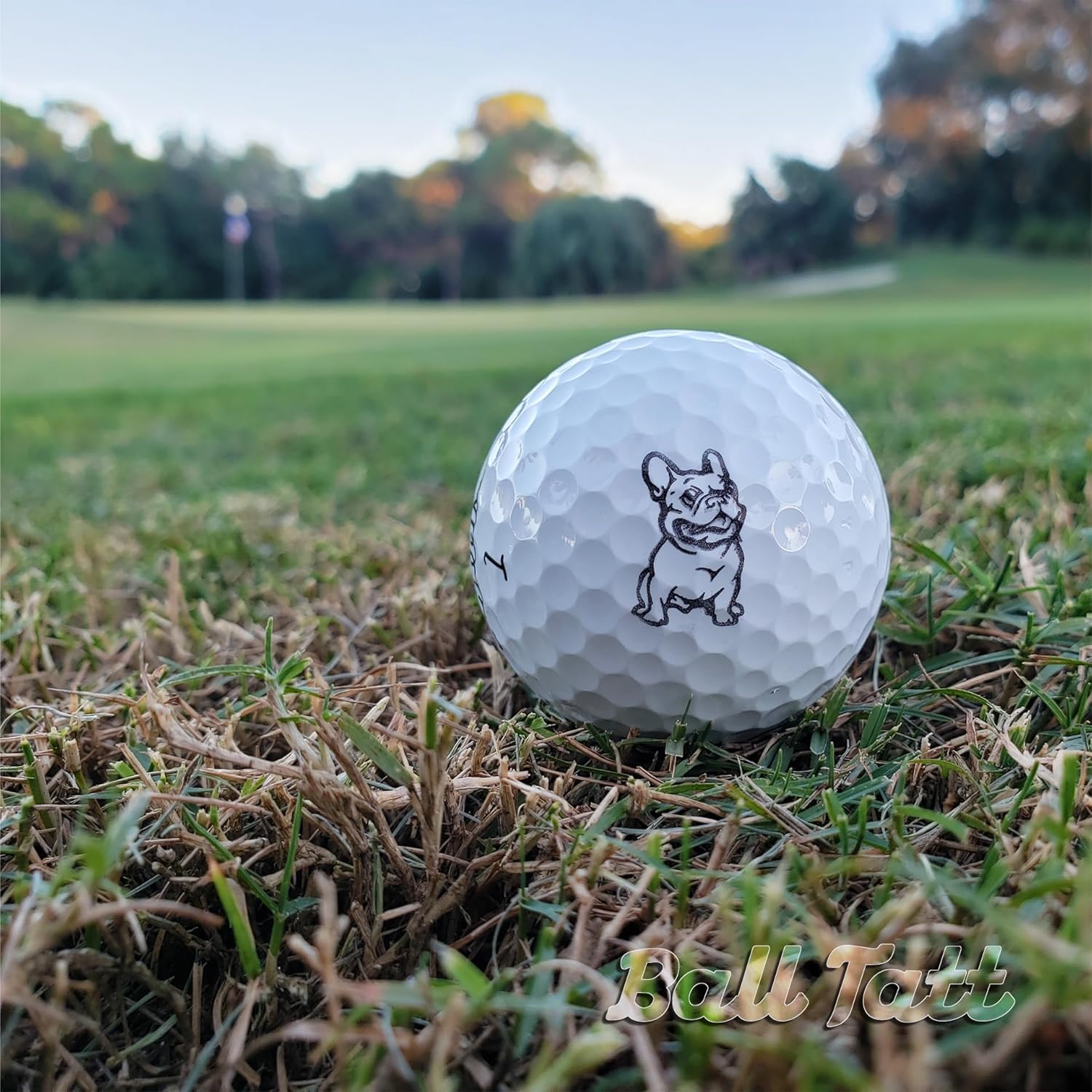 Ball Tatt – Sello de pelota de golf, sello de pelota de golf, marcadores de sellos de pelotas de golf autoentintados, herramienta de marcado de