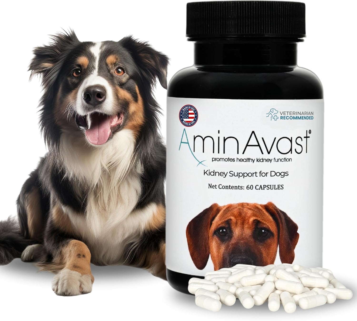 AminAvast Suplemento de riñón para perros – Apoya la función renal natural – Promueve la salud y la vitalidad del envejecimiento de los riñones –