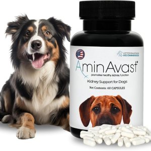 AminAvast Suplemento de riñón para perros – Apoya la función renal natural – Promueve la salud y la vitalidad del envejecimiento de los riñones – AminAvast Suplemento de riñón para perros – Apoya la función renal natural – Promueve la salud y la vitalidad del envejecimiento de los riñones –