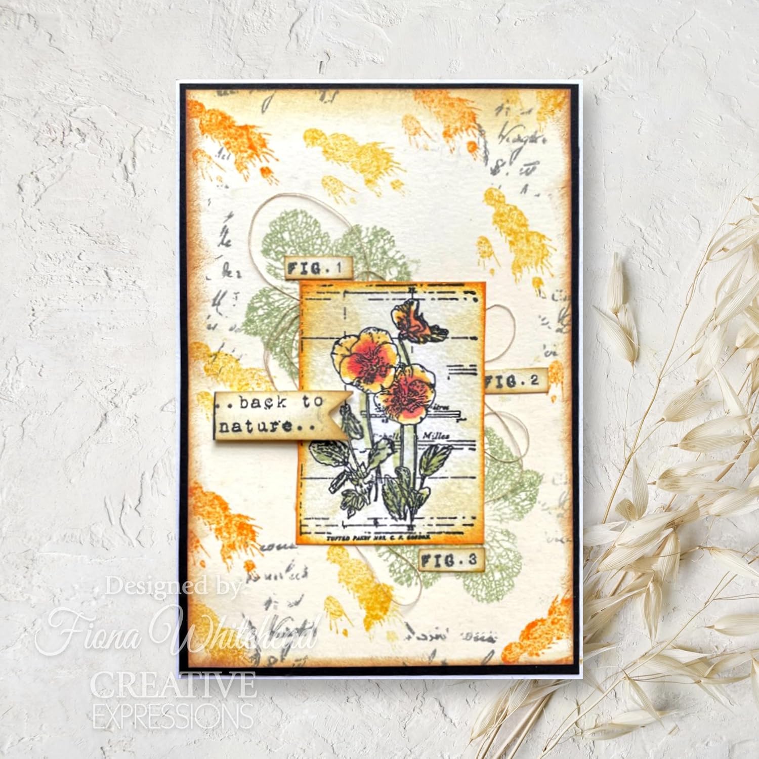Juego de sellos transparentes 4 “X6” por Sam Poole-Faded Flora CEC1046