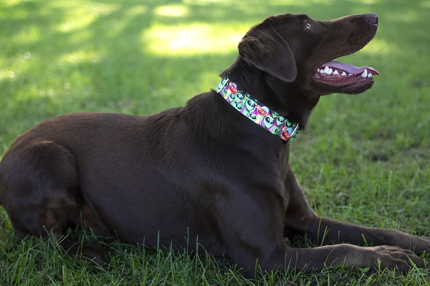 Country Brook Petz – Collar de perro Martingale Space Aliens – Colección Geek Chic con diseños para cualquier mega fan (58 pulgadas, pequeño)