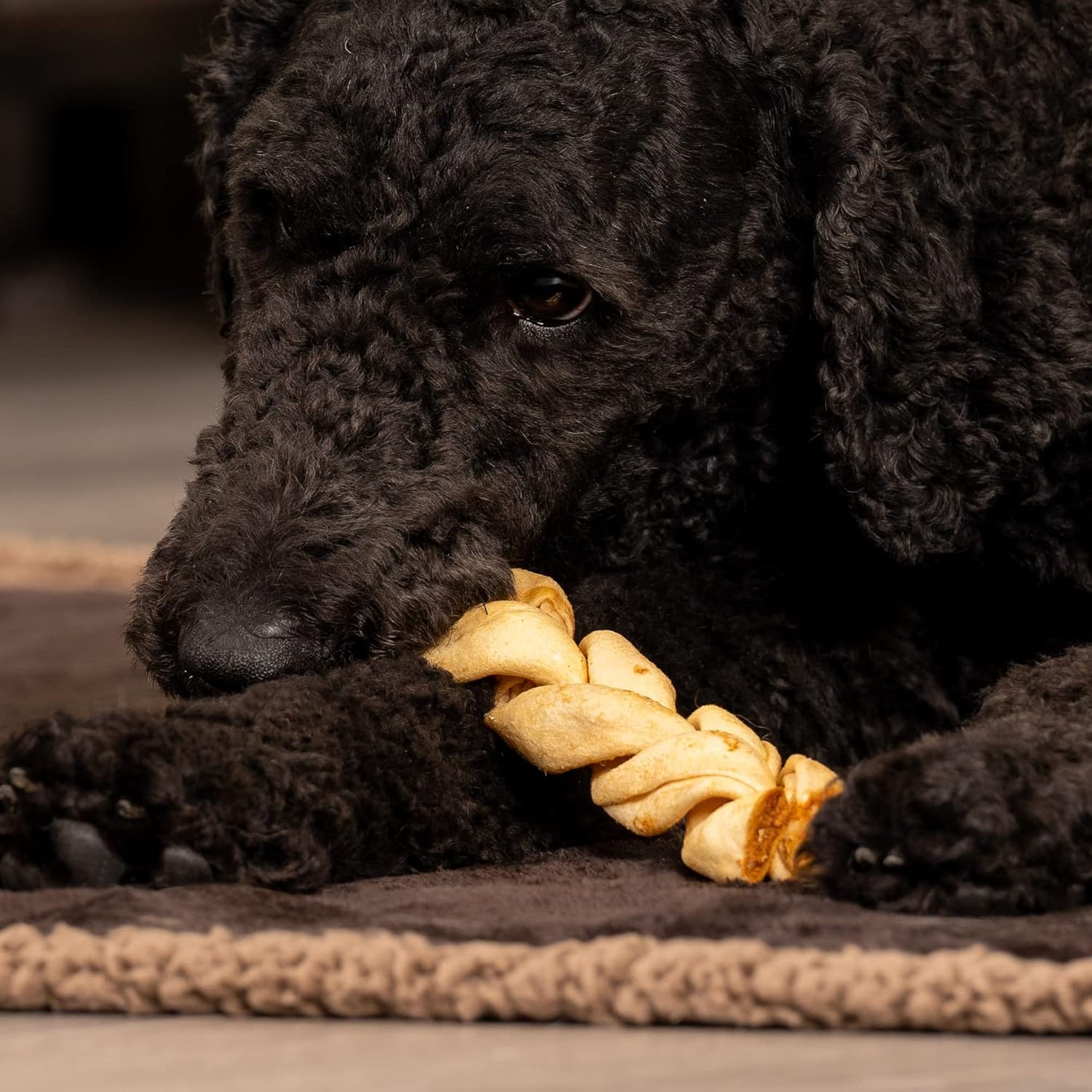 Pet Factory American Beefhide – Palitos trenzados de 6 pulgadas para perros, sabor a pollo, 14 unidades1 paquete