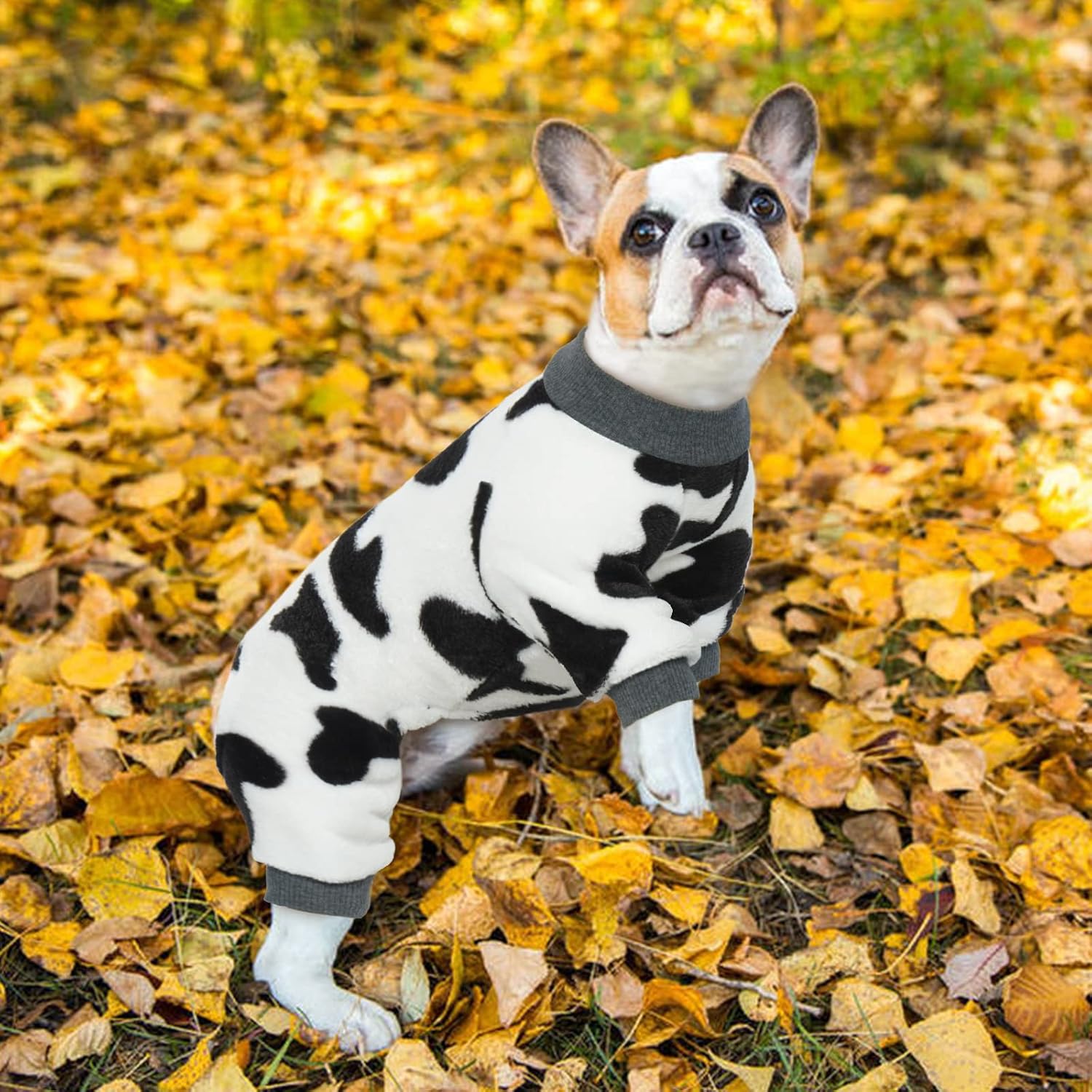 DENTRUN Ropa cálida de invierno para perros pequeños, disfraz divertido de suéter de vaca con leche, disfraz de perro y gato, pijama de franela suave