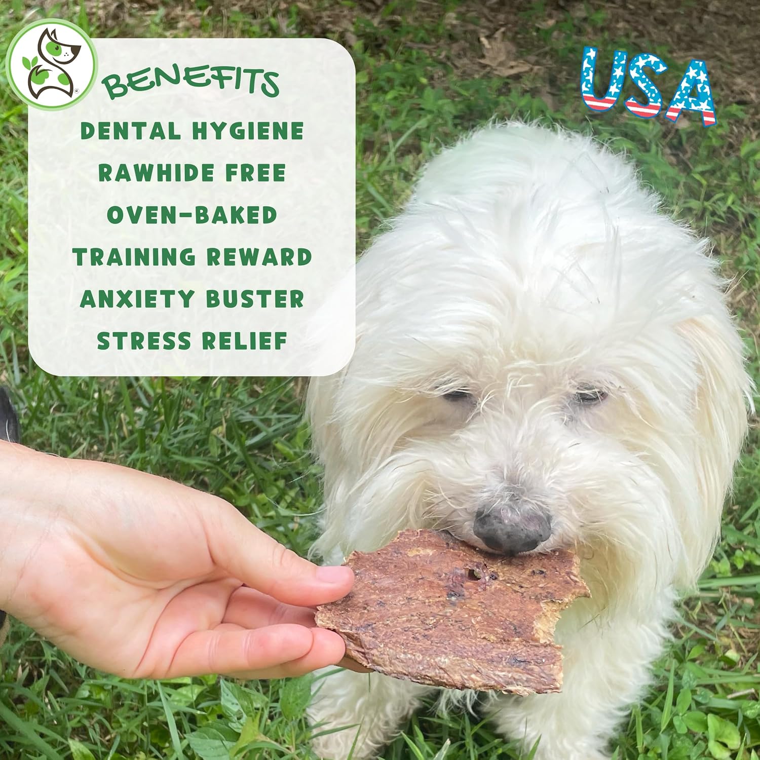Nature Gnaws – Chips crujientes de Estados Unidos para perros – Golosinas naturales masticables para perros de un solo ingrediente – Fabricado en