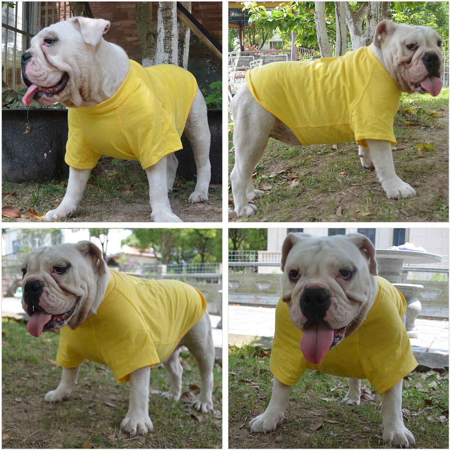 Lovelonglong 2019 – Ropa para mascotas, Disfraces para Perro, Ropa Camisetas en blanco para Perros Grande Medianos Pequeños 100% Algodón 18 Colores,