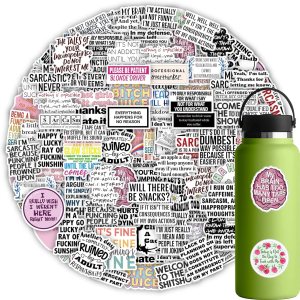 60 calcomanías de sarcasmo, calcomanías sarcásticas con citas sarcásticas, calcomanías de vinilo divertidas y graciosas para laptop, botellas de 60 calcomanías de sarcasmo, calcomanías sarcásticas con citas sarcásticas, calcomanías de vinilo divertidas y graciosas para laptop, botellas de