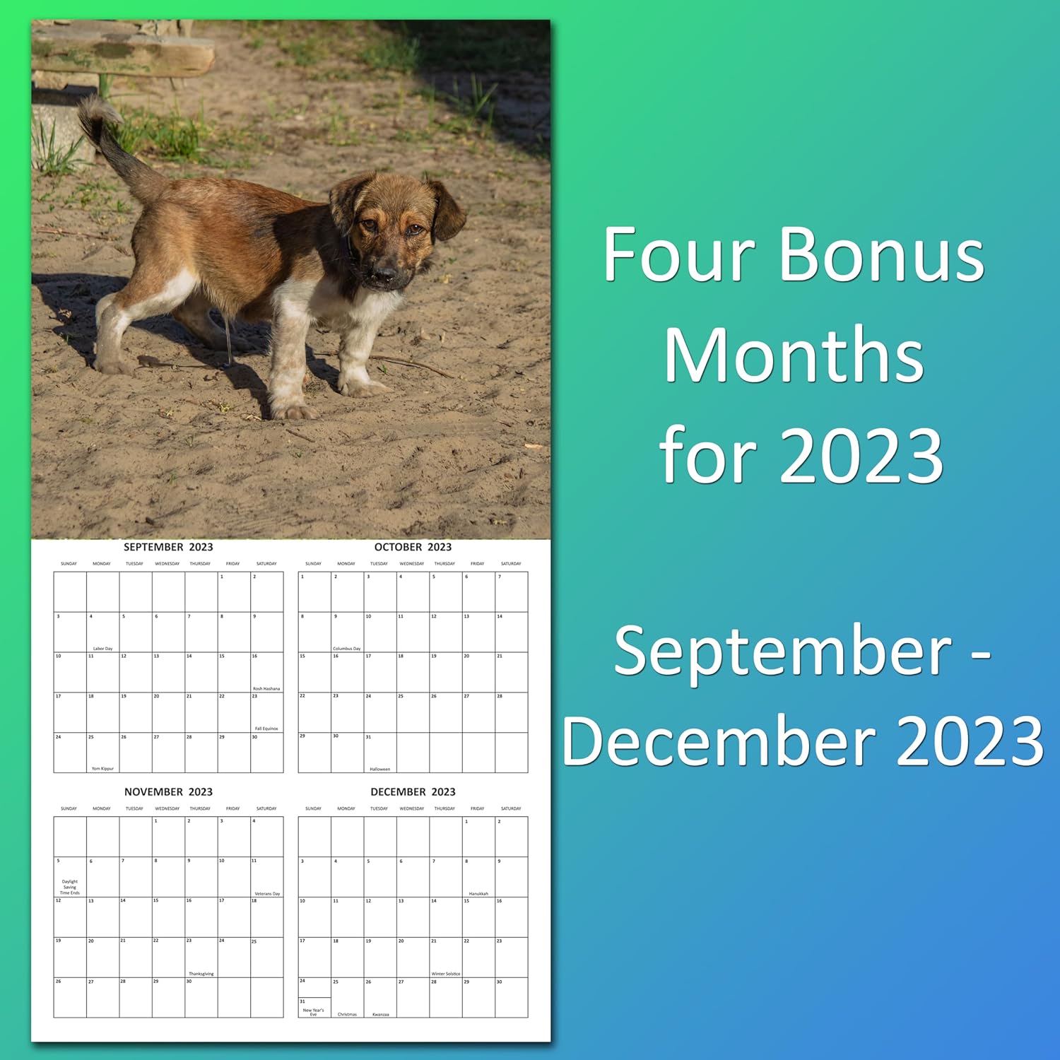 Calendario mensual de pared 2024 Funny Dogs Marking Territory  12 x 24 pulgadas  Calendario de perro de regalo de broma 2024