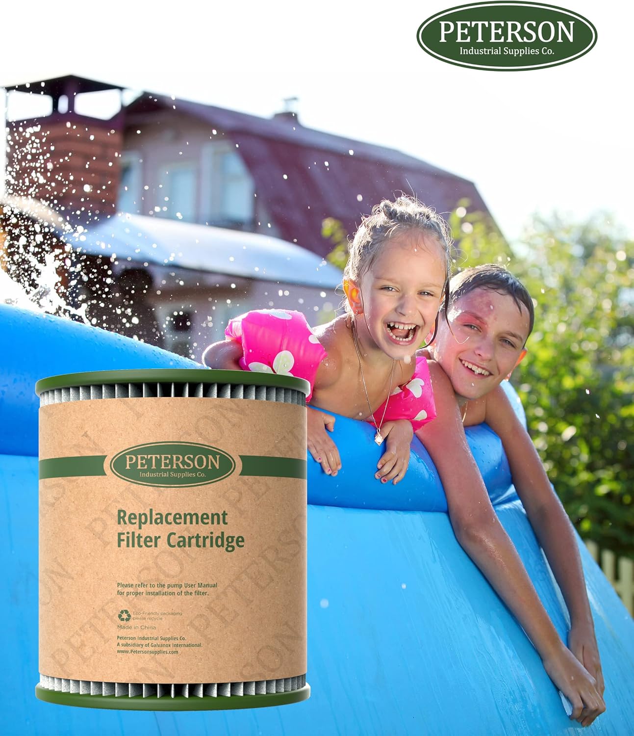 GALVANOX Paquete de 8 cartuchos de filtro de repuesto tipo H para bomba de piscina sobre el suelo Intex (C330, 29007E)