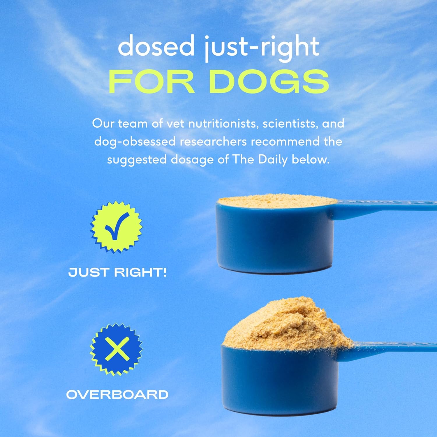 Native Pet The Daily Dog Supplement  Multivitamínico 11 en 1 para perros  Cuchara sabrosa con vitaminas y suplementos para perros  Super Multi