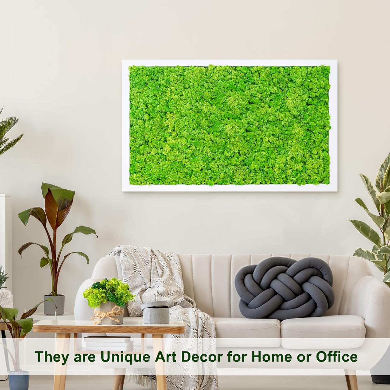 Pextian Musgo verde preservado para manualidades, musgo de reno de 8 onzas para plantas en maceta, musgo artificial decorativo para bodas,
