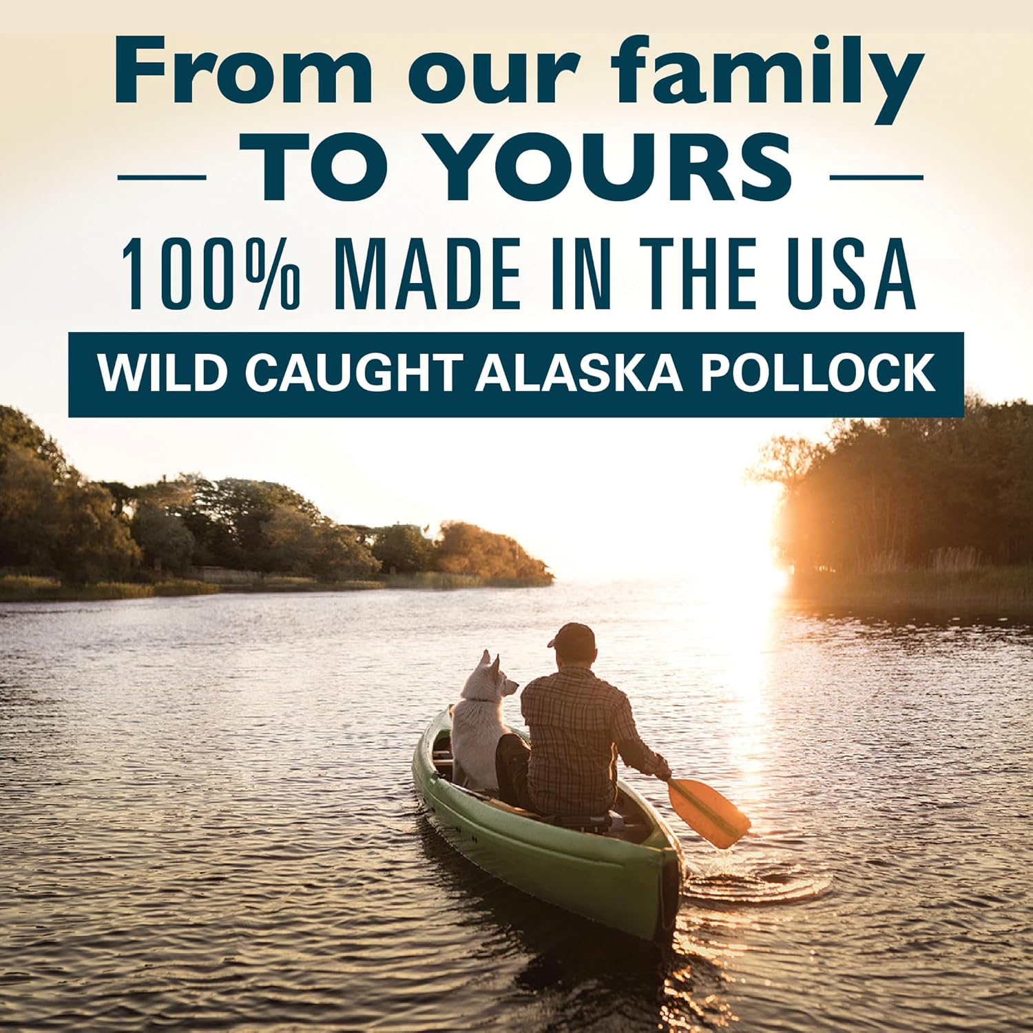 Alaska Naturals Aceite de abadejo salvaje de Alaska para perros – EPA y DHA Omega-3 – Suplemento para piel sana, pelaje brillante – capturado en la