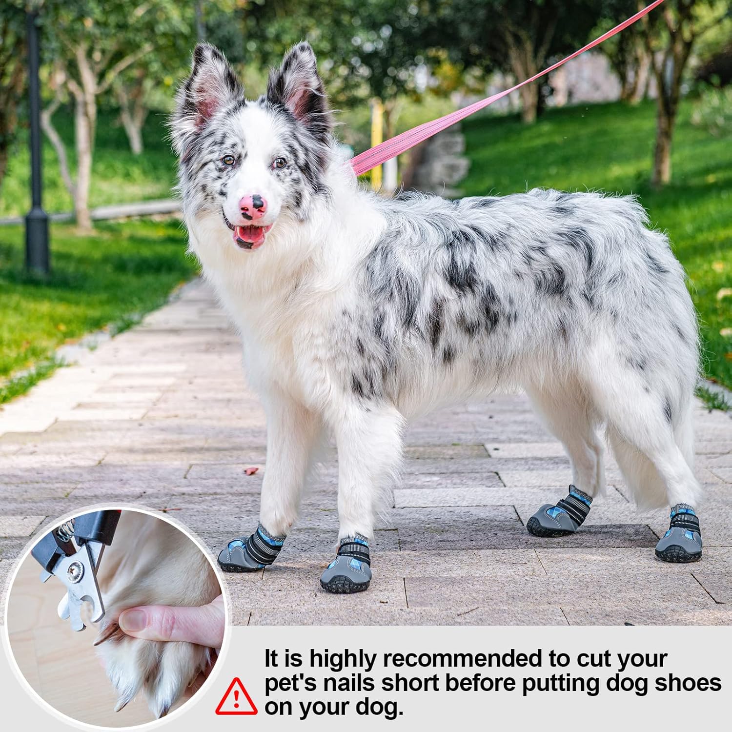 BEAUTYZOO Zapatos para perros, botas y protectores de patas para perros pequeños, medianos y grandes, zapatos de agua reflectantes para perros,