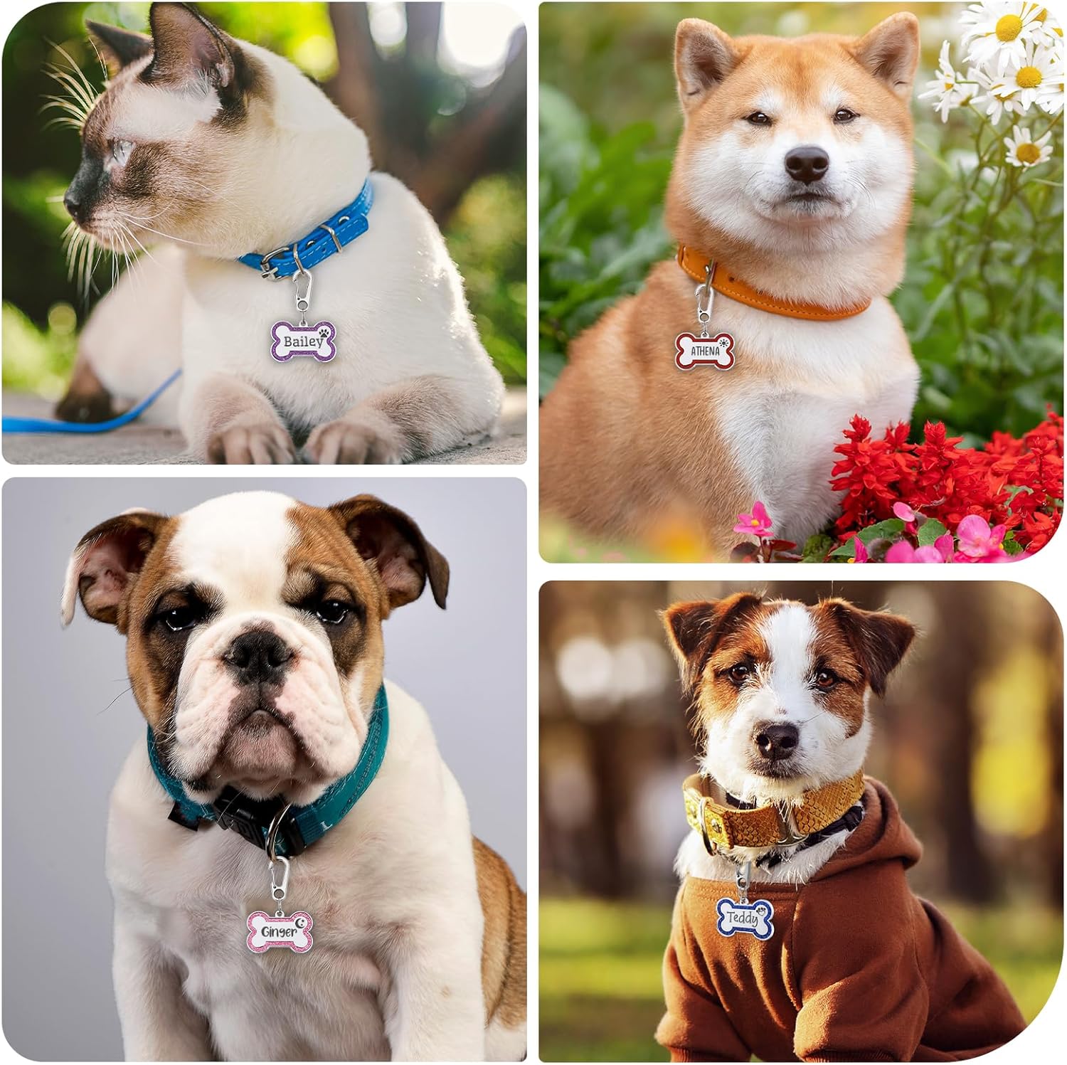 Etiquetas de identificación personalizadas grabadas para mascotas, grabadas personalizadas, fáciles de leer, etiquetas de identificación
