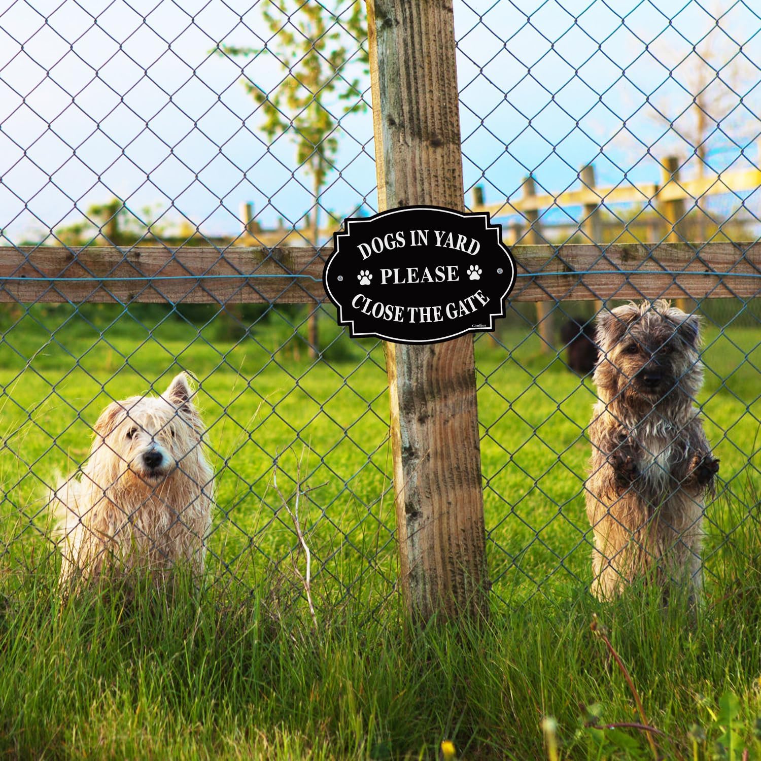 Letrero con texto en inglés Dogs in Yard Please Close the Gate, 9.5 x 6.7 pulgadas, aluminio reflectante, resistente a la decoloración, uso en