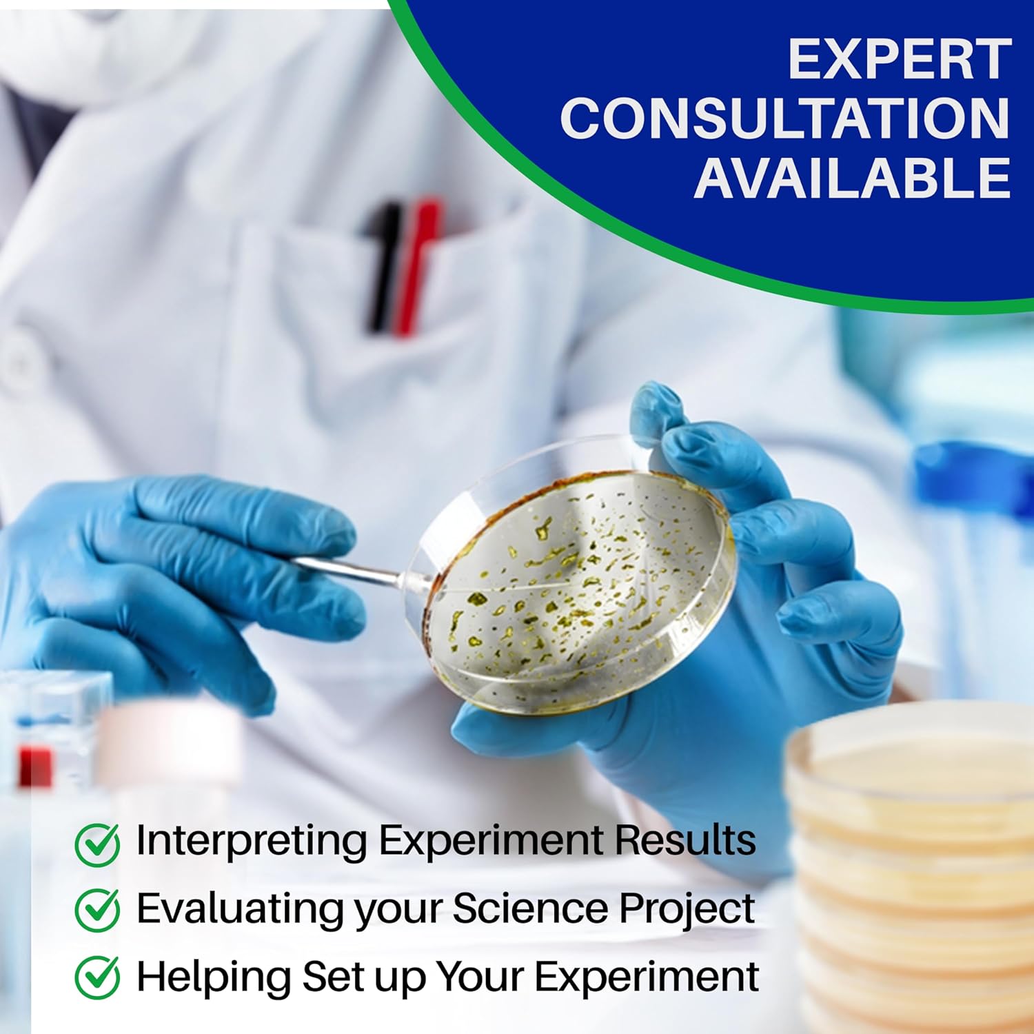 Evviva Sciences – Kit de proyecto científico de placas de agar nutriente de Petri, placas de agar previamente vertidas para experimentos