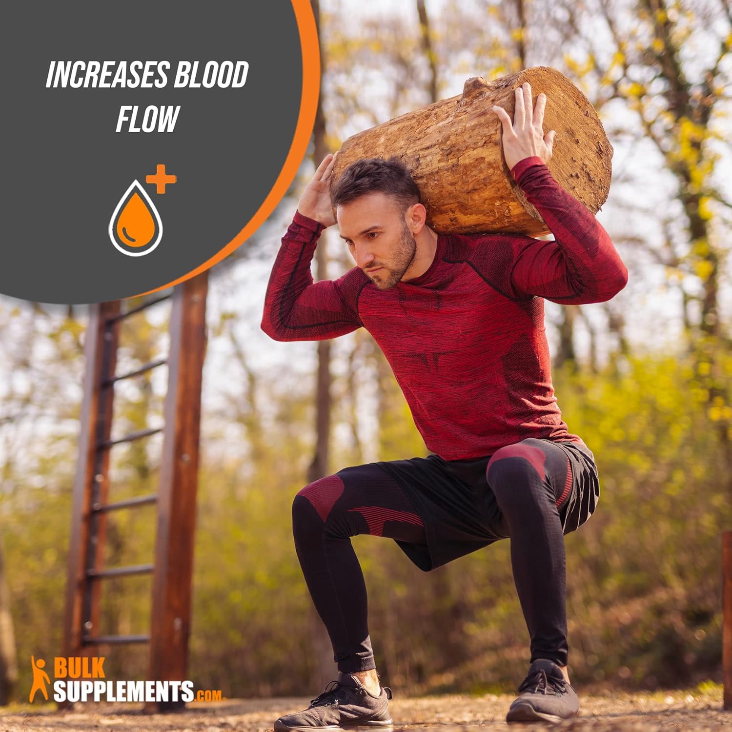 BulkSupplements. com Hesperidin Powder – Suplemento de Hesperidina de Citrus Aurantium, suplementos de apoyo venoso – 500 mg de Hesperidina por