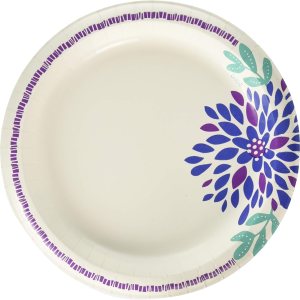 Dixie Platos – 10 in – 26 Ct Dixie Platos – 10 in – 26 Ct