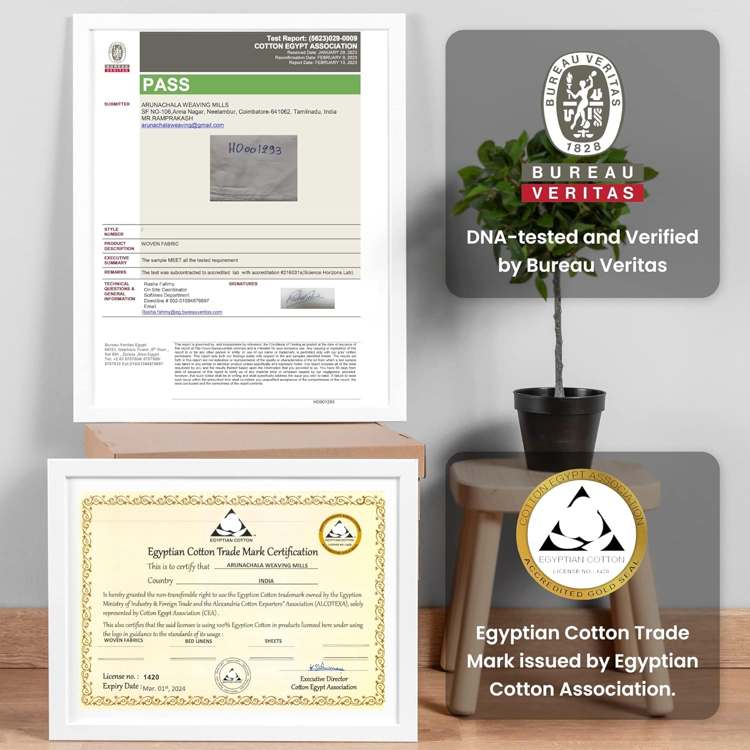 Sábanas de algodón egipcio 100% Giza certificado CEA, juego de 4 piezas, sello dorado acreditado, bolsillo profundo, fibra extralarga, tejido