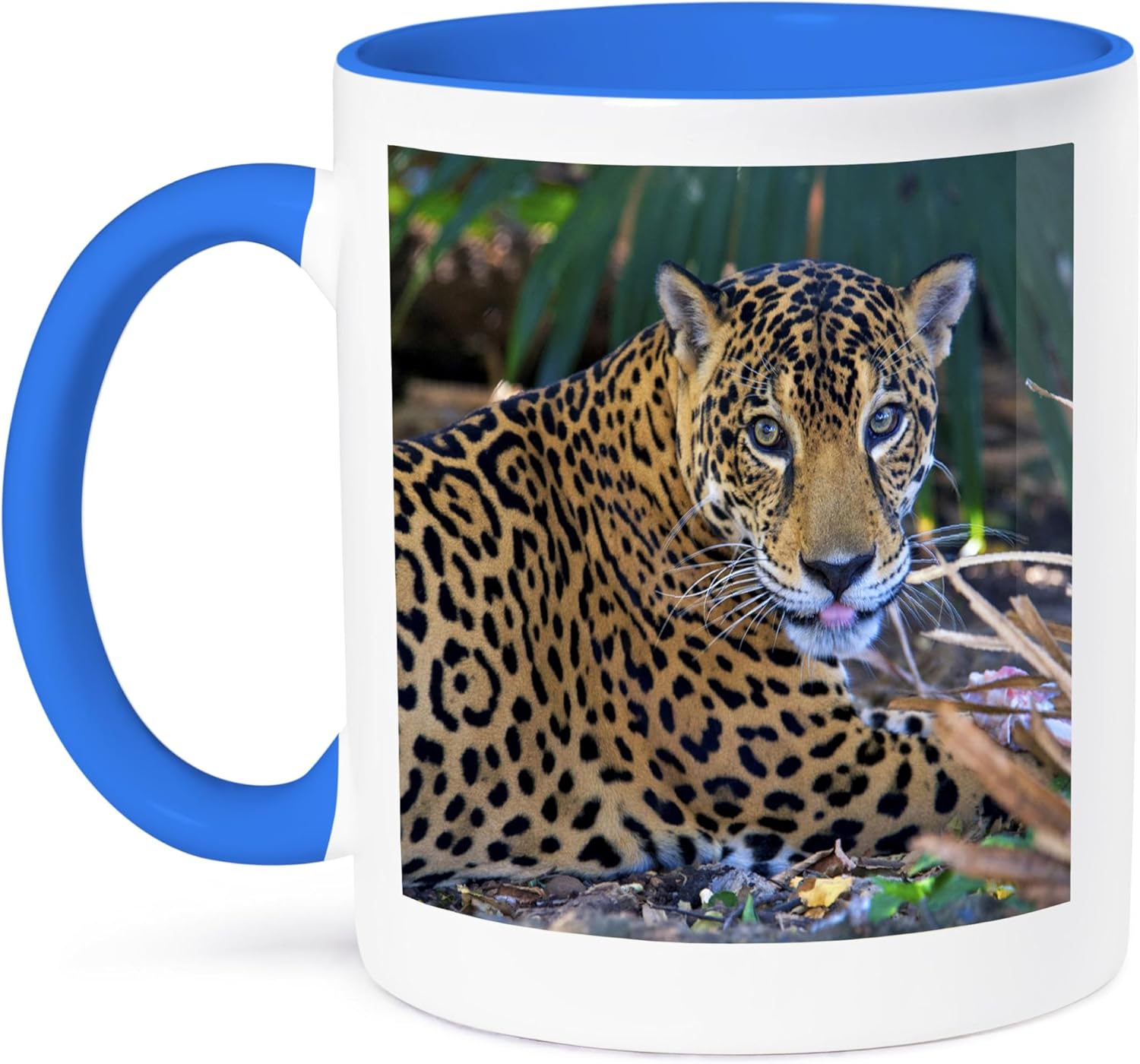 3dRose Taza _ _ _ _ _ _ _ _ _ _ 141689_ _ _ _ _ _ _ _ _ _ 6″ Central America Jaguar Costa Rica SA22amr0015Andres Morya Hinojosa “Dos Tono Azul Taza
