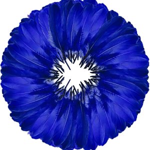 FeelfunFeather 120 plumas de ganso azul rey de 6 a 8 pulgadas, 5.9-7.9 in, decorativas, naturales, plumas de ganso Nagoire a granel para FeelfunFeather 120 plumas de ganso azul rey de 6 a 8 pulgadas, 5.9-7.9 in, decorativas, naturales, plumas de ganso Nagoire a granel para