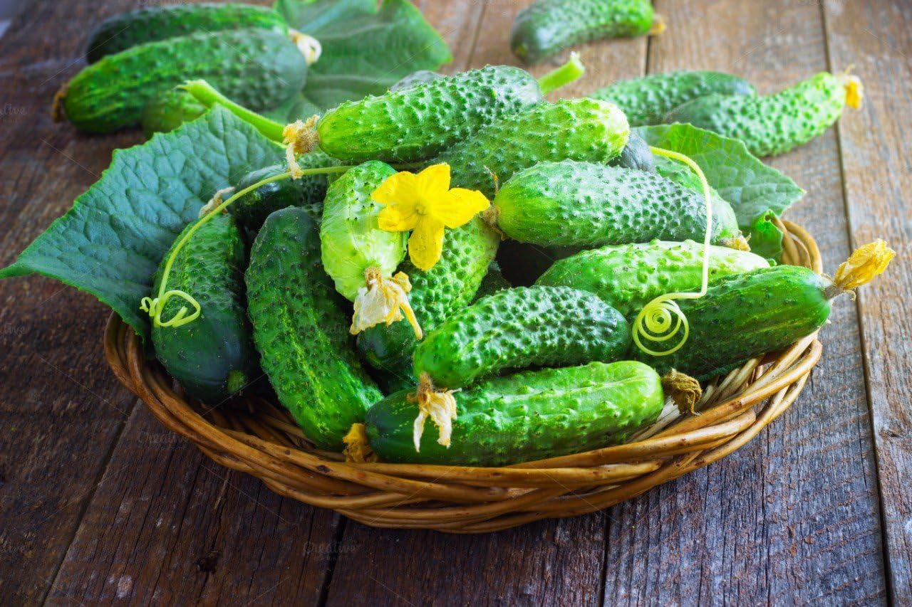 Herencia de Titus de pepino vegetal para decapado 45 días – 20 semillas