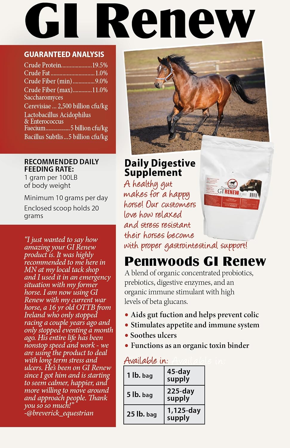 GI Renew, probióticos para estimulación equina, inmune y del apetito, prebióticos, enzimas digestivas  Suplemento para caballos que proporciona