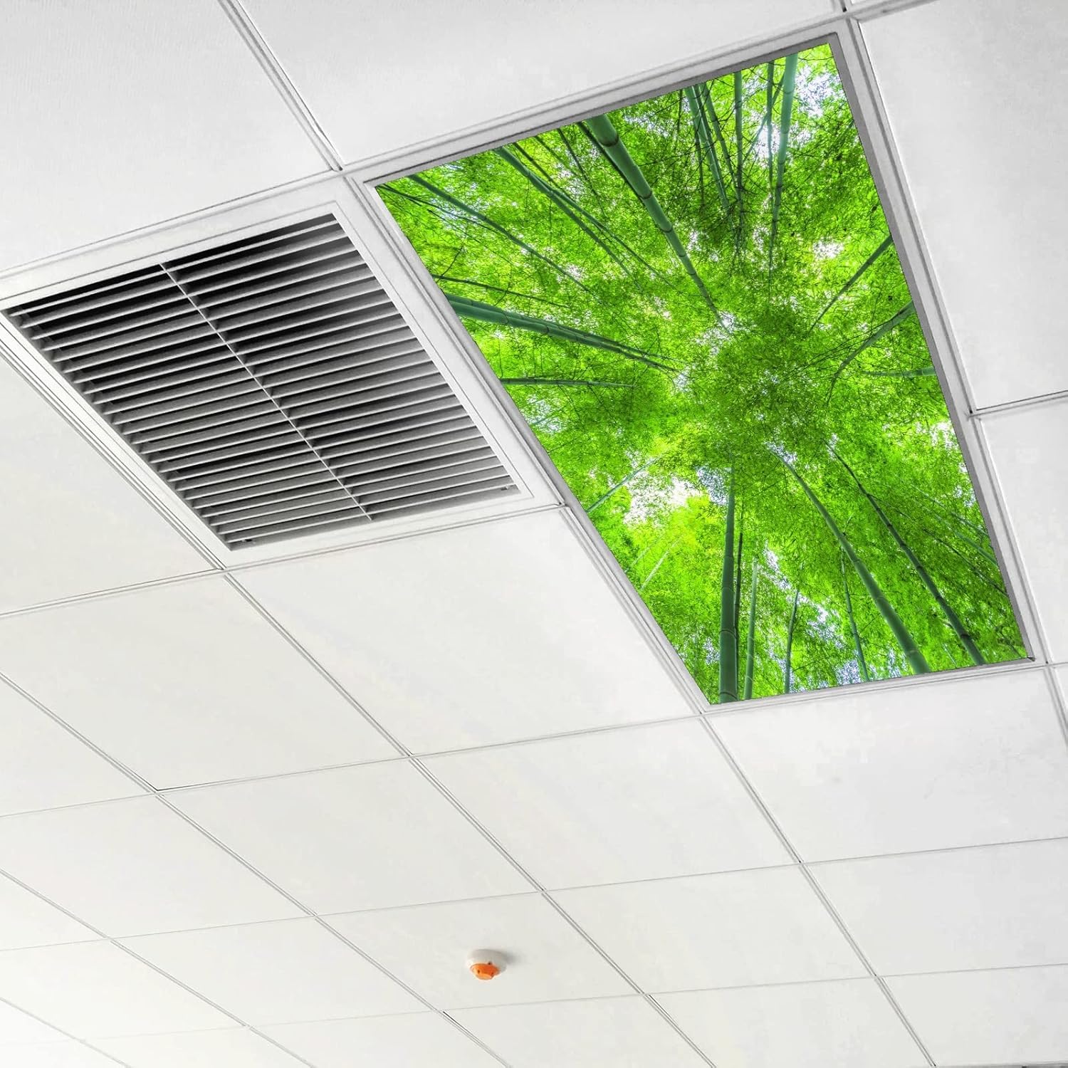 Cubiertas de luz fluorescente, filtros de luz de bosque de bambú verde para aulas y oficina, eliminan el deslumbramiento severo que causa fatiga