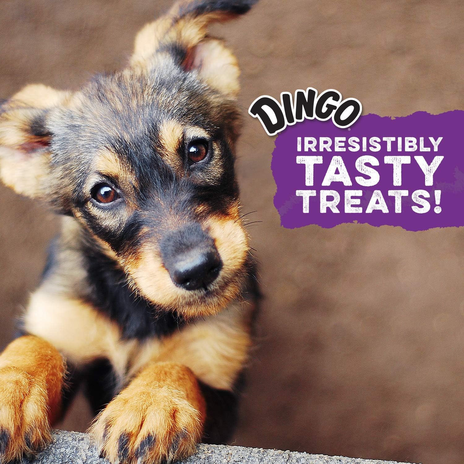 Dingo Chip Mix de 16 onzas, cuero crudo para perros, hecho con pollo real