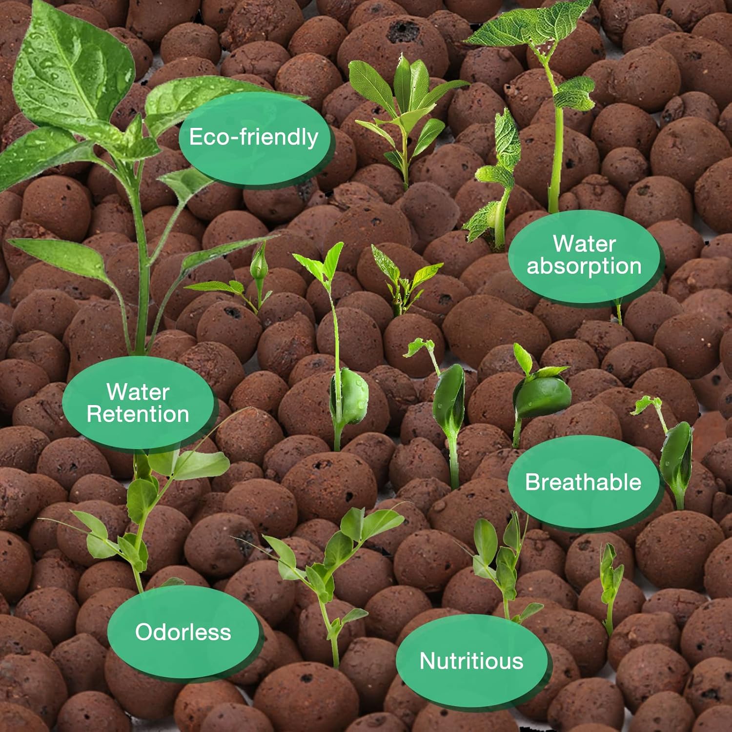 LECA – Guijarros de arcilla expandida orgánica de 5 libras, suministros hidropónicos de orquídea acuapónica para plantas de jardín de interiores y